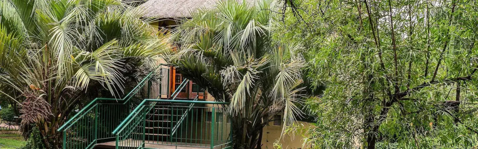 Kopano Nokeng