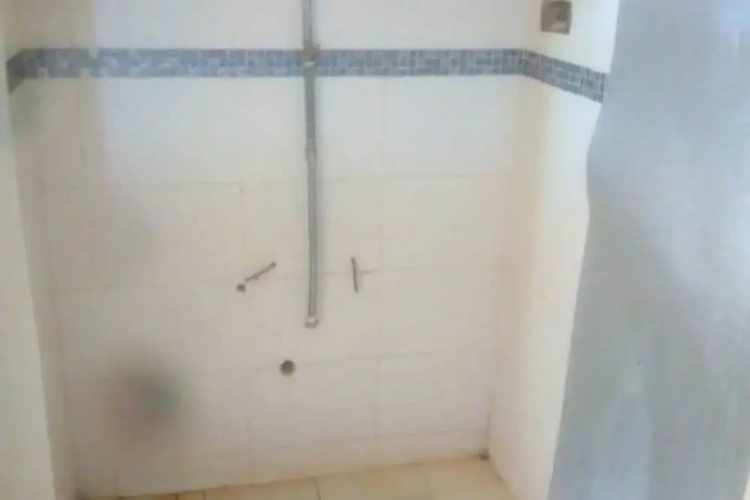 3 Bedrooms Sextuple Apartment