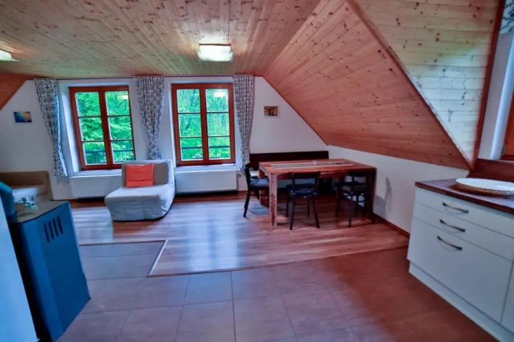 Apartment with garden view