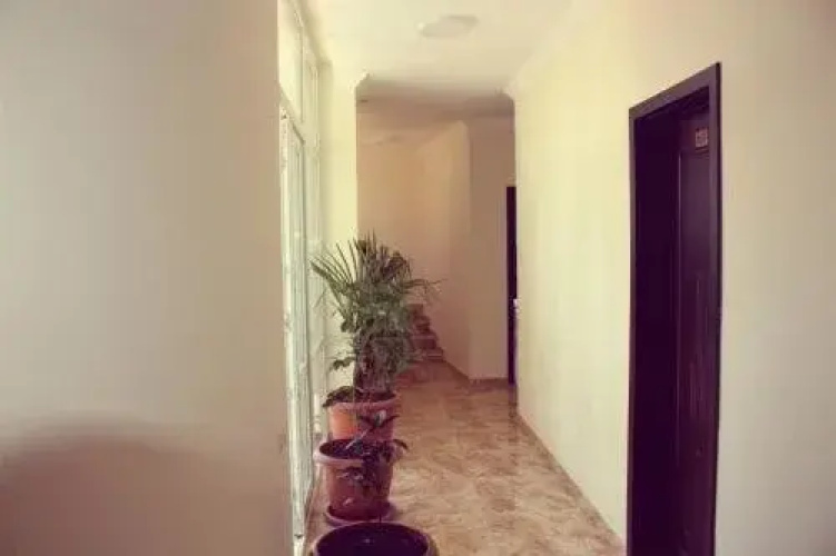 Hotel Argo-s