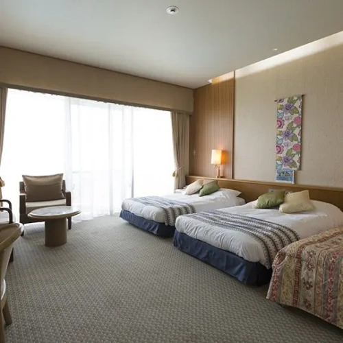 Standard Double Basement room with sea view