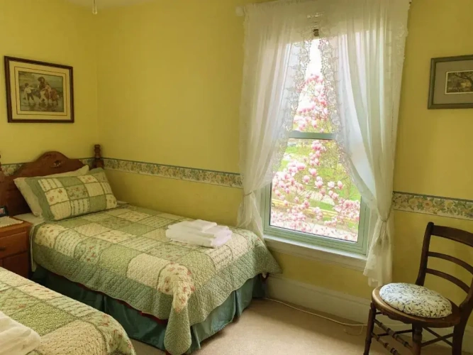 Economy Twin room