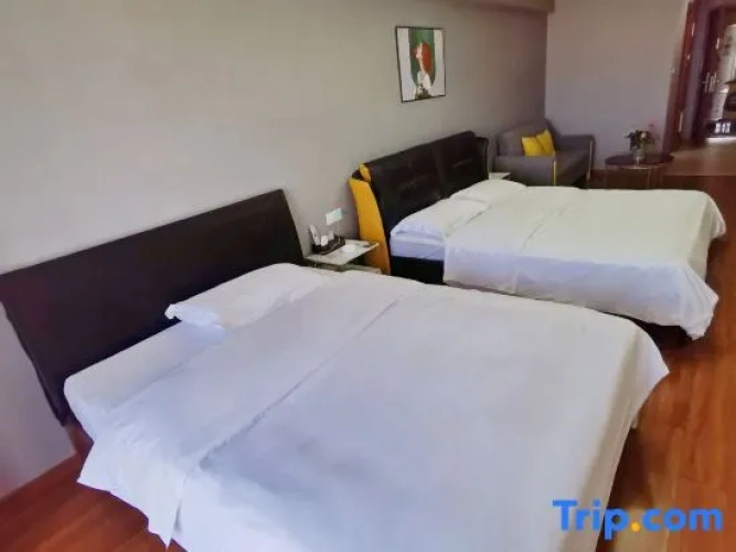 Standard Twin Family room