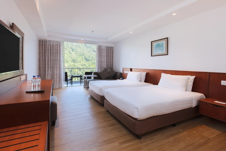Superior Double room with balcony and with view