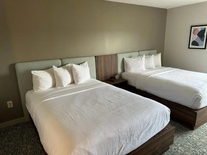 Standard Double room