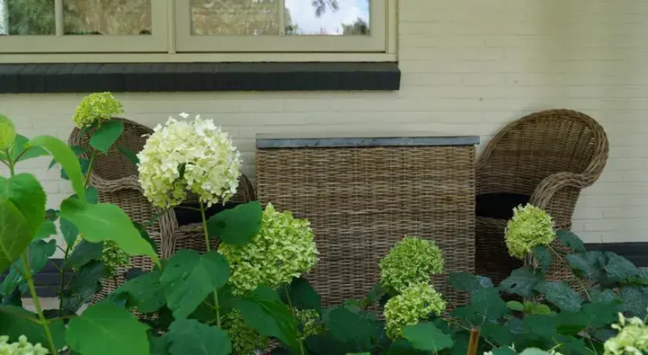 B&B Groen