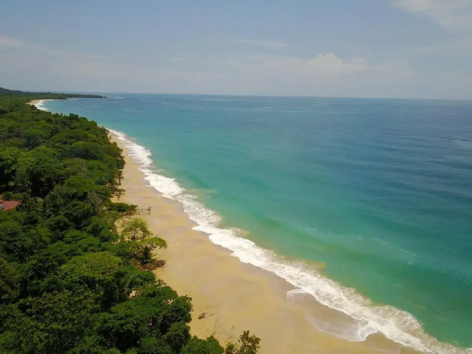 Oasis Bluff Beach