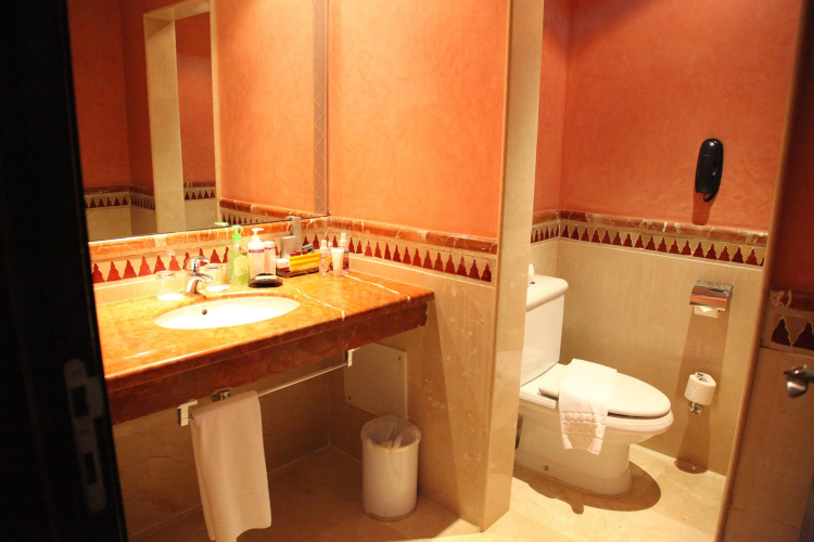Palm Plaza Hotel & Spa photo 9