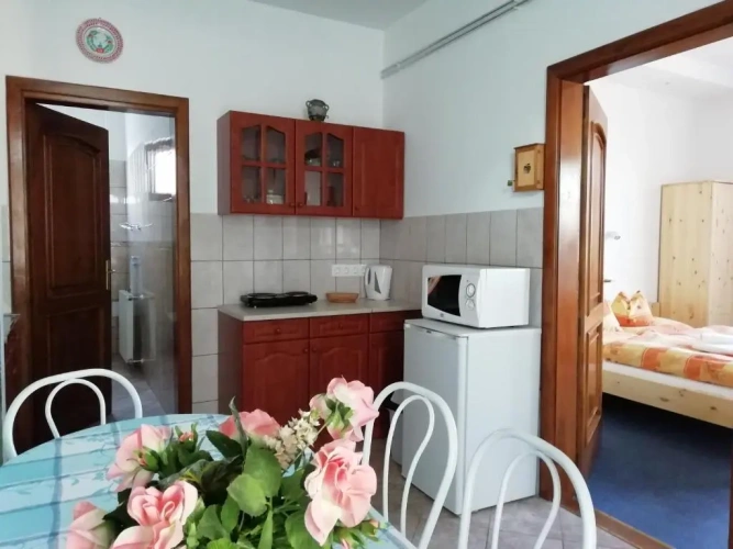 Apartment with balcony and with view