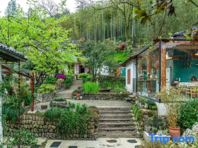 Little Forest Guesthouse