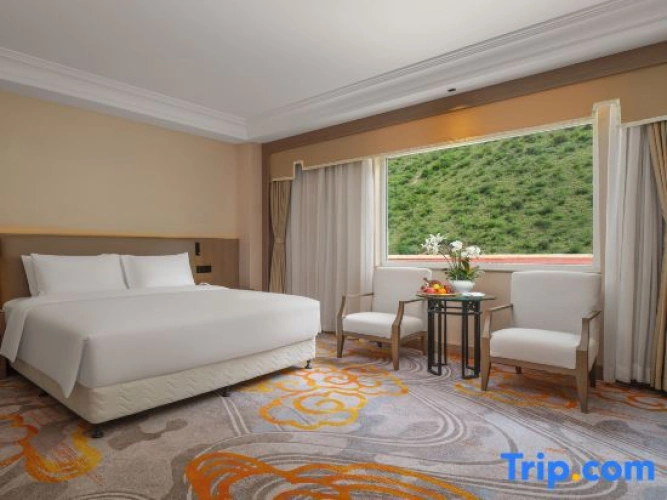 Luxury Double room