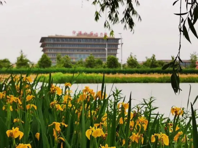Shungeng Manor Ecological Park