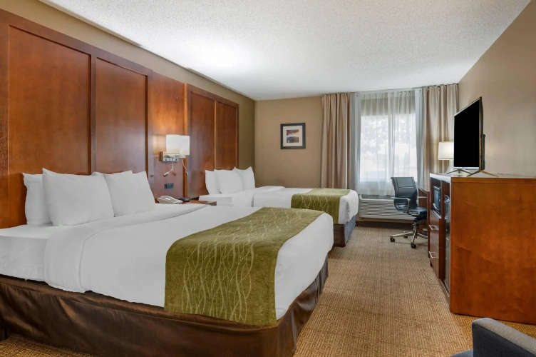 Standard Quadruple room