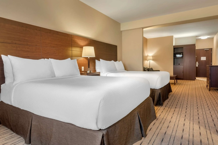 Quadruple Suite