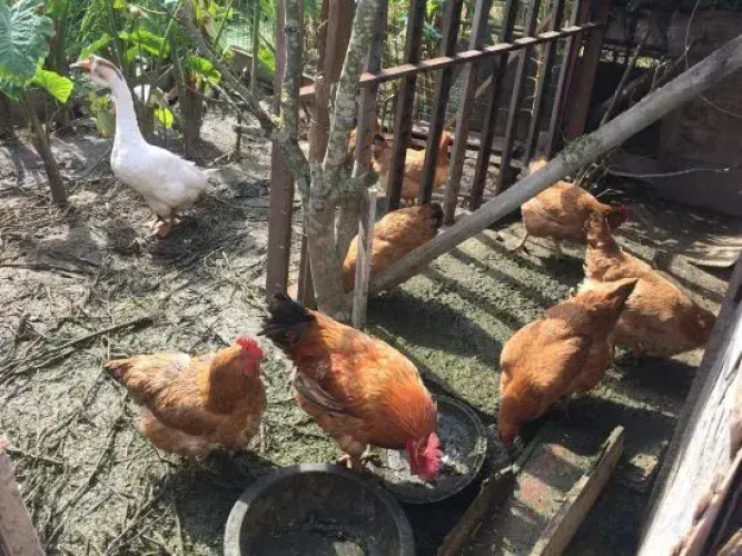 Haozai B&B in Shanghai