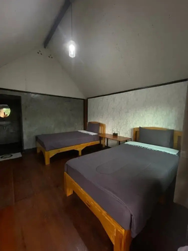 Jungle guest house