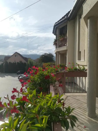 Vila Gong