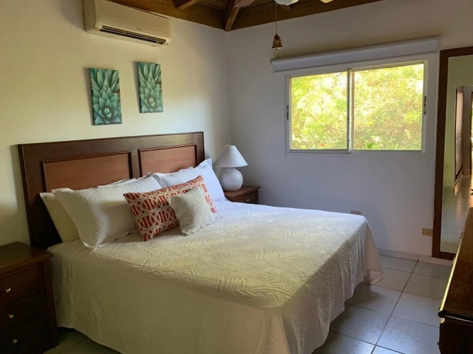 1 Bedroom Business room with garden view