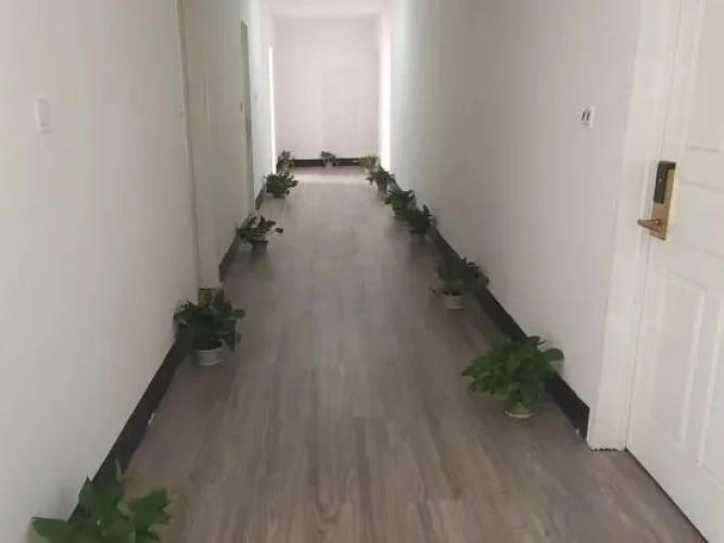 Hotel rooms