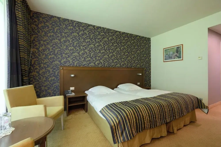 Deluxe Double room with river view