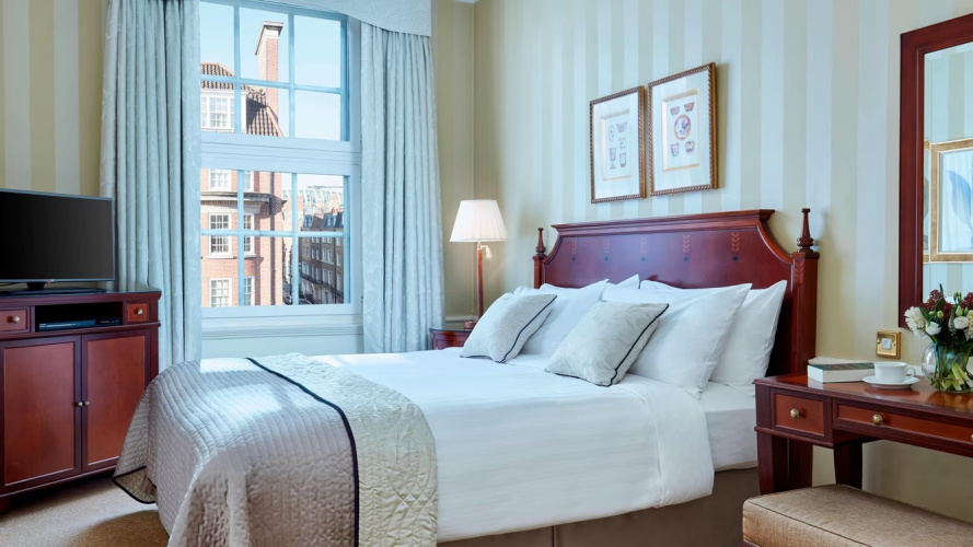1 Bedroom Executive Suite