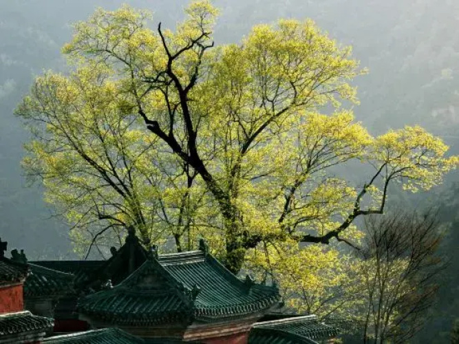 Yishanju Smart Hotel