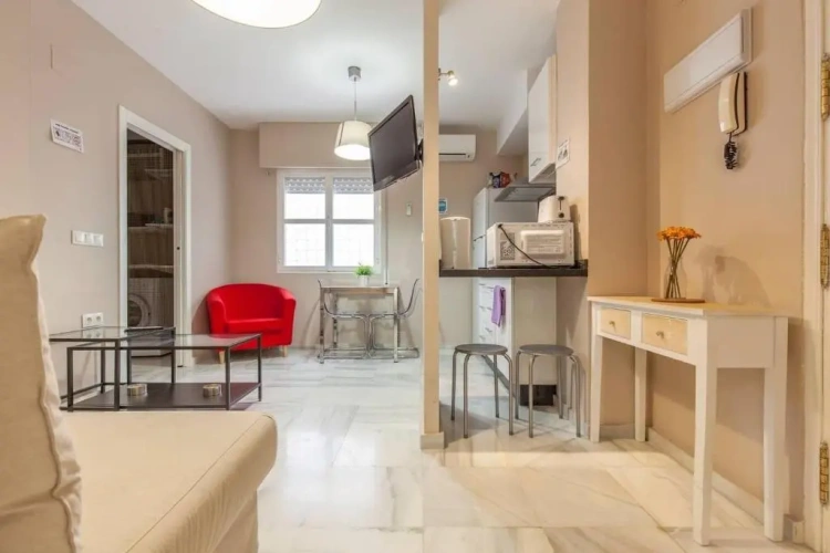 1 Bedroom Apartment