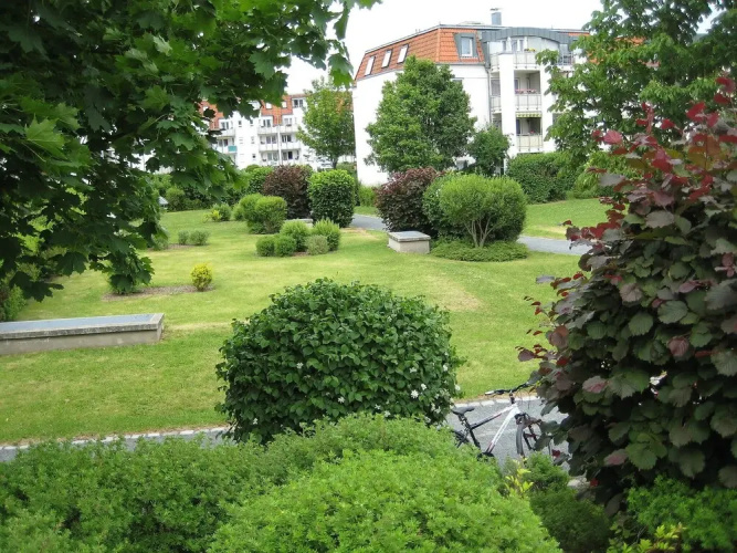 Kamelienweg Dresden in Dresden