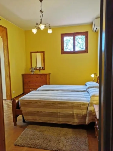 Standard Double room with mountain view