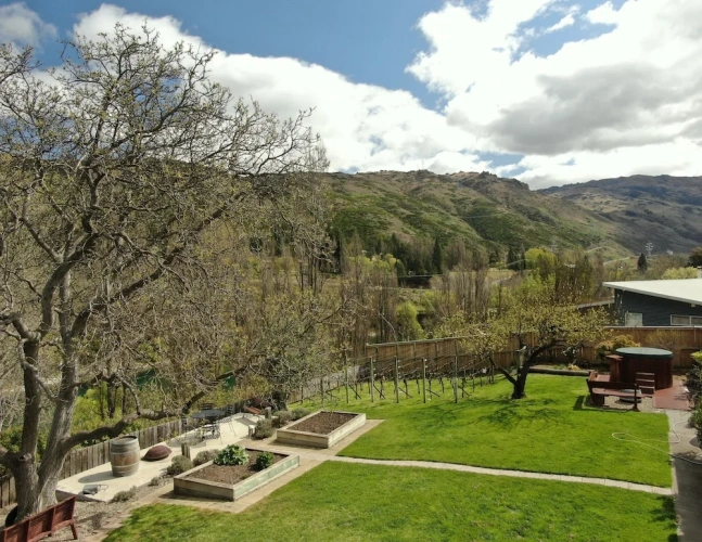 1 Bedroom Comfort Suite with mountain view