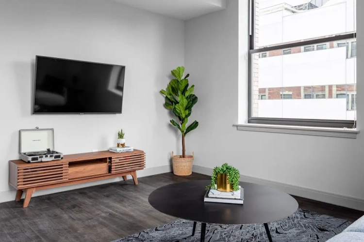 1 Bedroom Standard Apartment