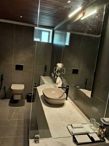 Standard Double room with balcony and with river view
