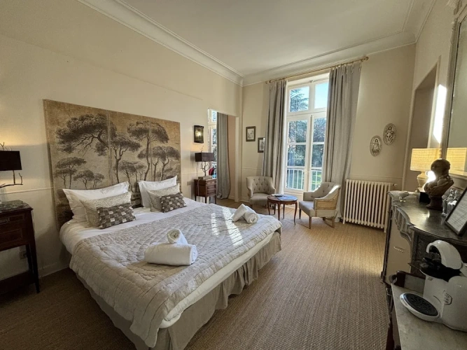 Superior Double room with park view