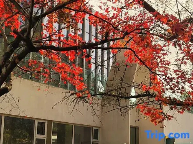 Sambong Park Residence