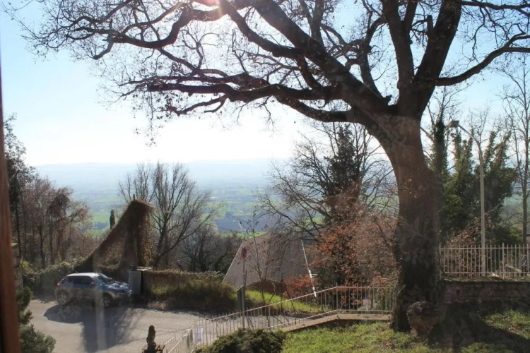 Standard Double room with view
