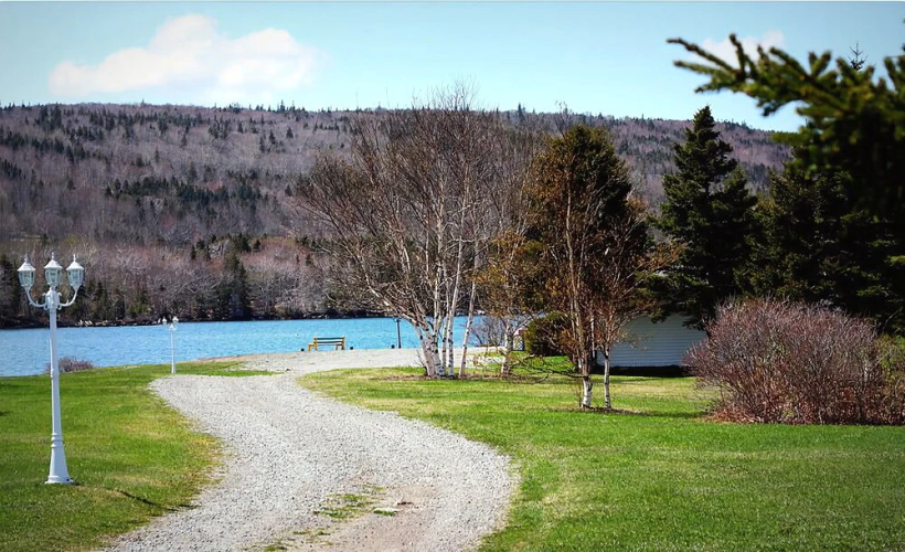 The Cove
