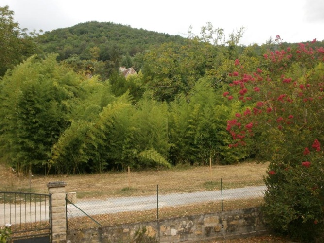 Standard Double room with garden view