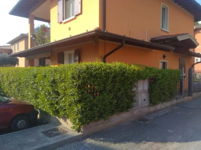 Cottage