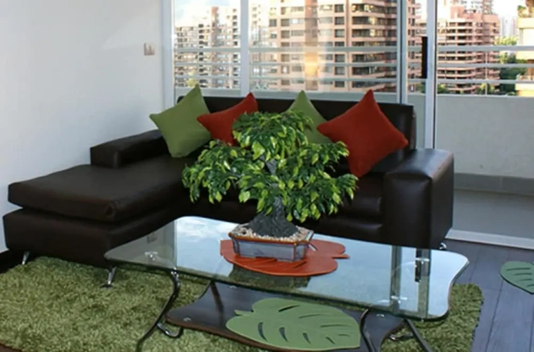Standard Double Apartment with city view