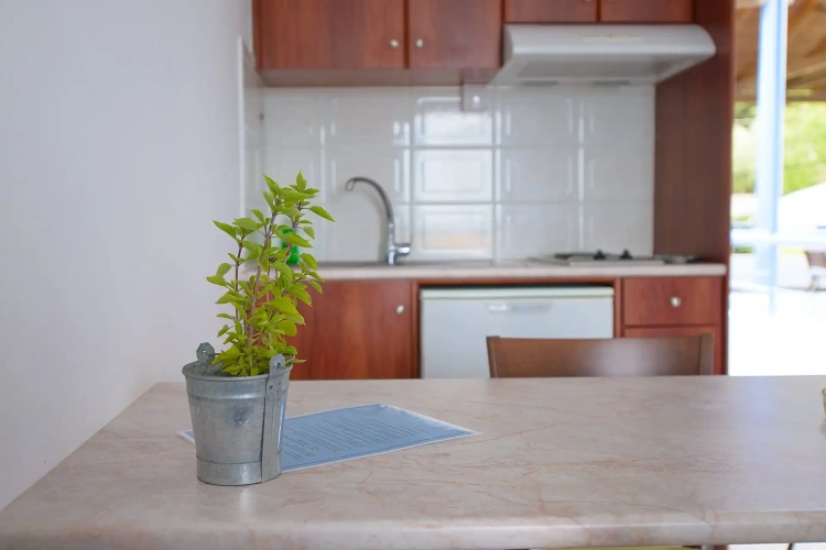 Apartment with sea view