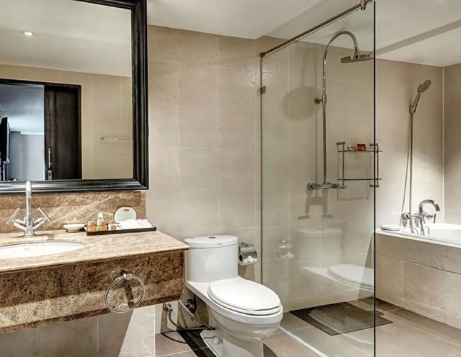 Deluxe Single room