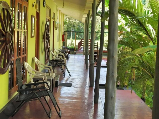 Standard Double room with garden view