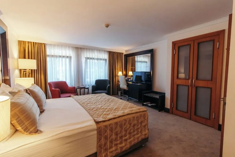 Luxury Double Suite with city view