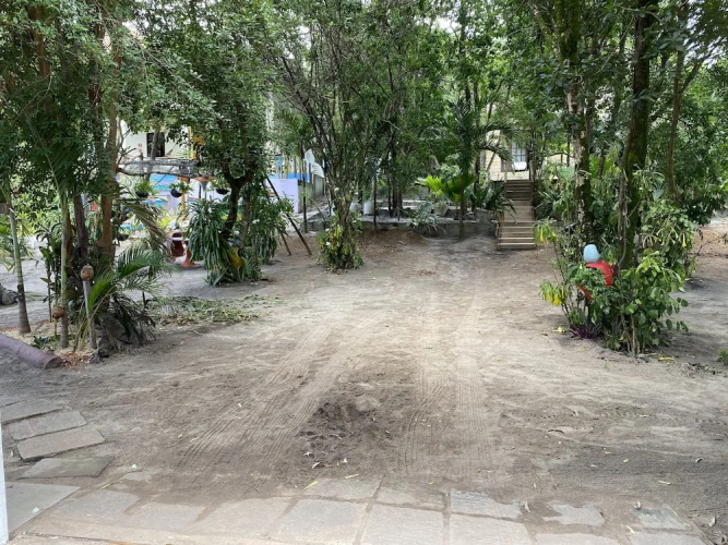 Macaco Surf House - Hostel