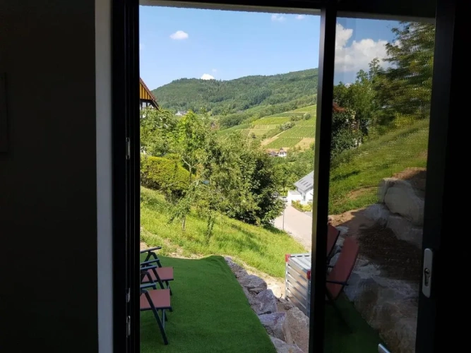 Apartment with mountain view