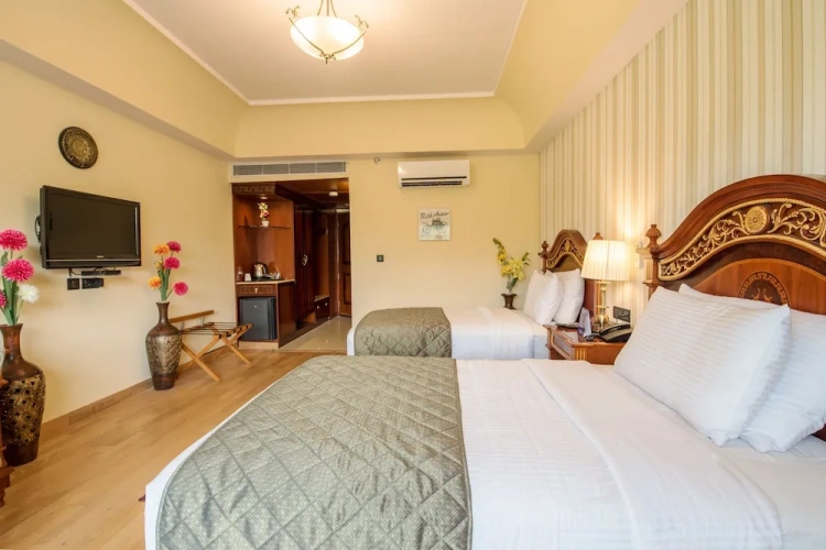 Deluxe Twin room