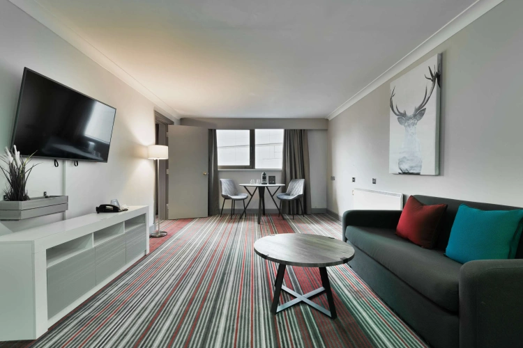 1 Bedroom Suite