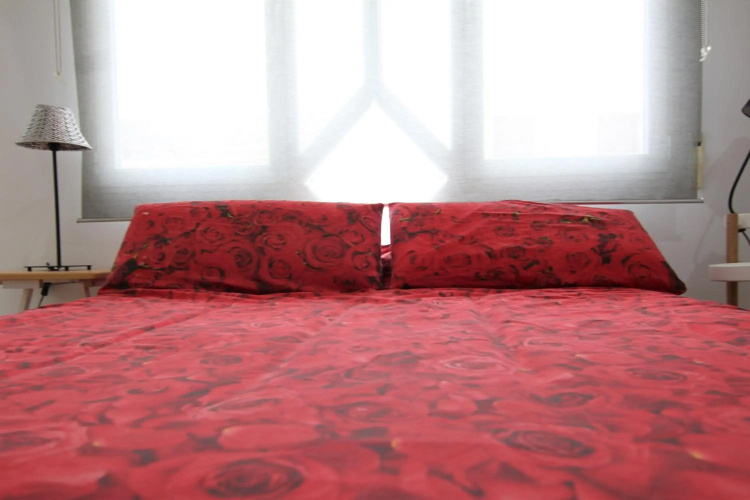 Apartamentos Lara