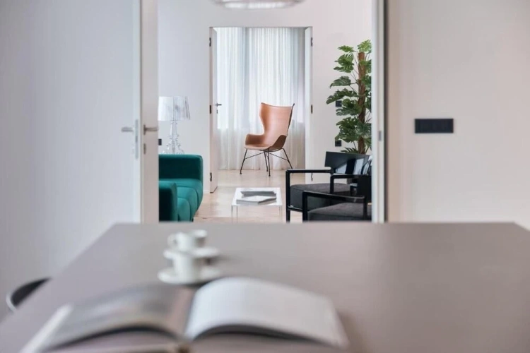 Luxury Apartment