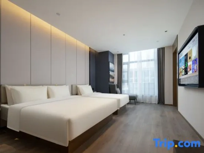Executive Twin Family room